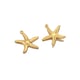 Golden starfishă0.33gă Picture10